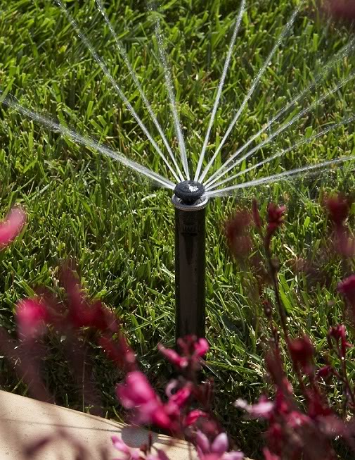 Water your lawn and saving yourself some money in Liberty 